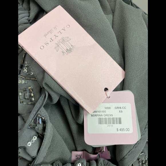 Serpina Silk Embellished Dress - Picture 3 of 4